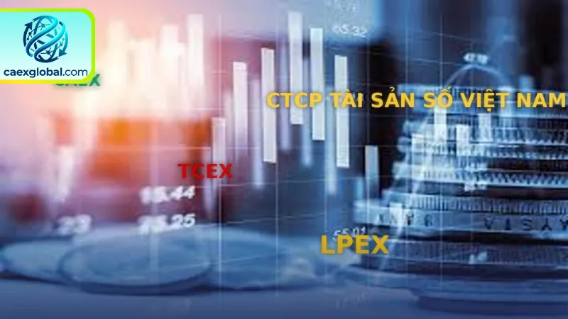 Nâng cao năng lực đầu tư qua giáo dục và tin tức