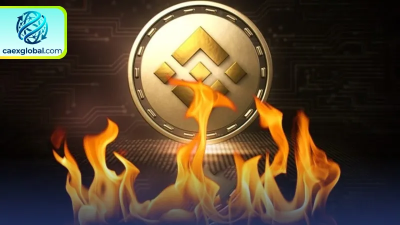 Cơ chế vận hành và ý nghĩa kinh tế của việc đốt Token