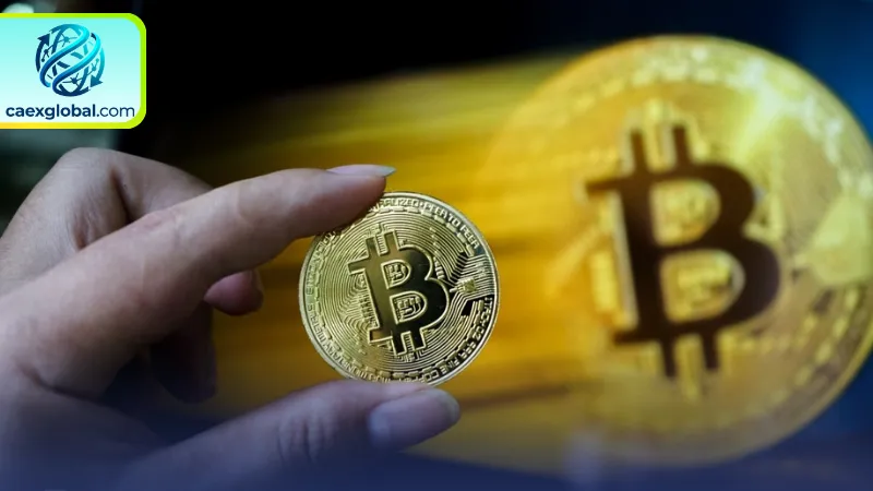 Những yếu tố cốt lõi thúc đẩy giá trị và tin tức Bitcoin